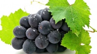A dieta das uvas e suas propriedades de cura!