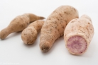 Batata doce – Veja os principais benefícios